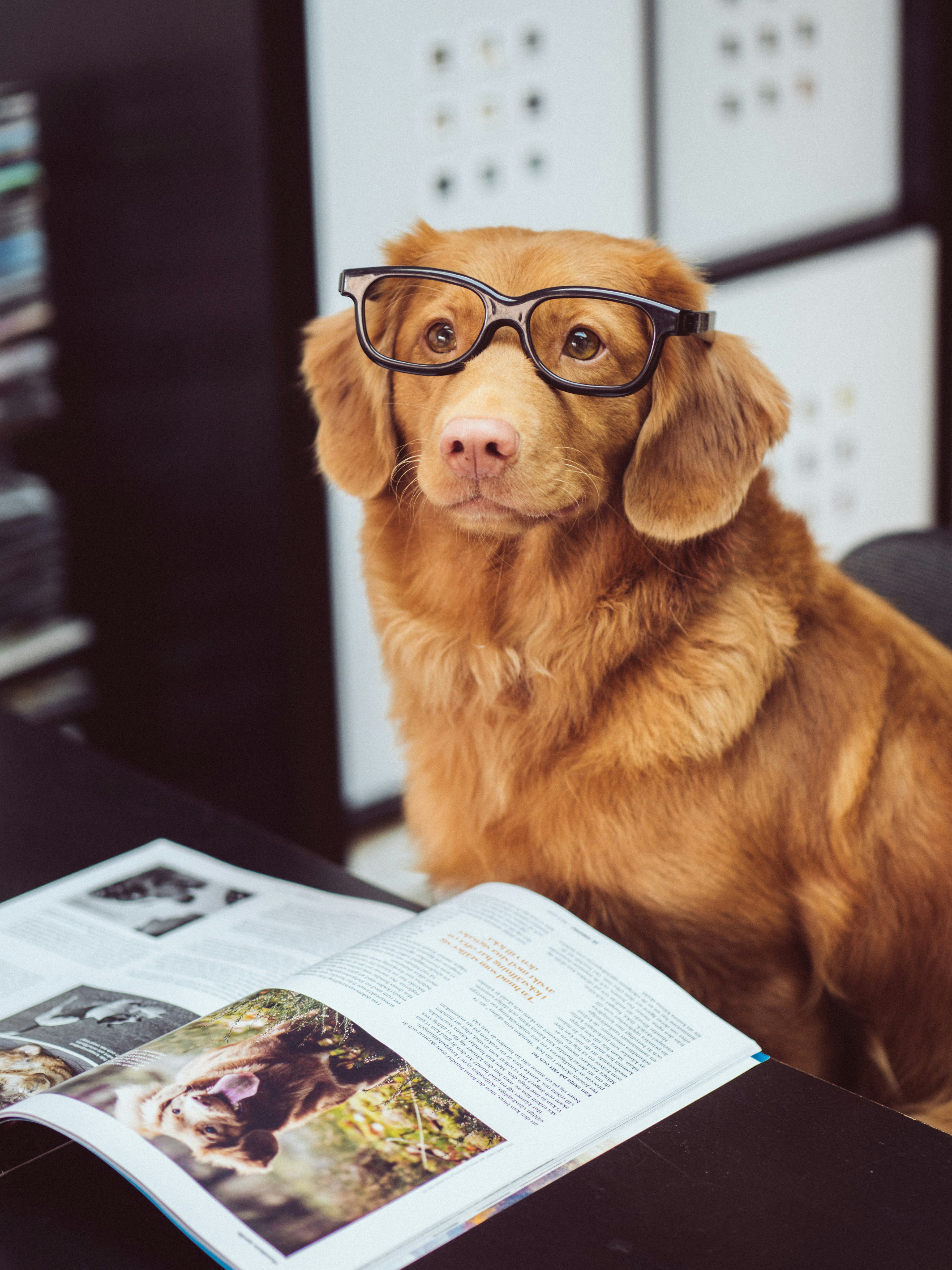Zoo-lecture