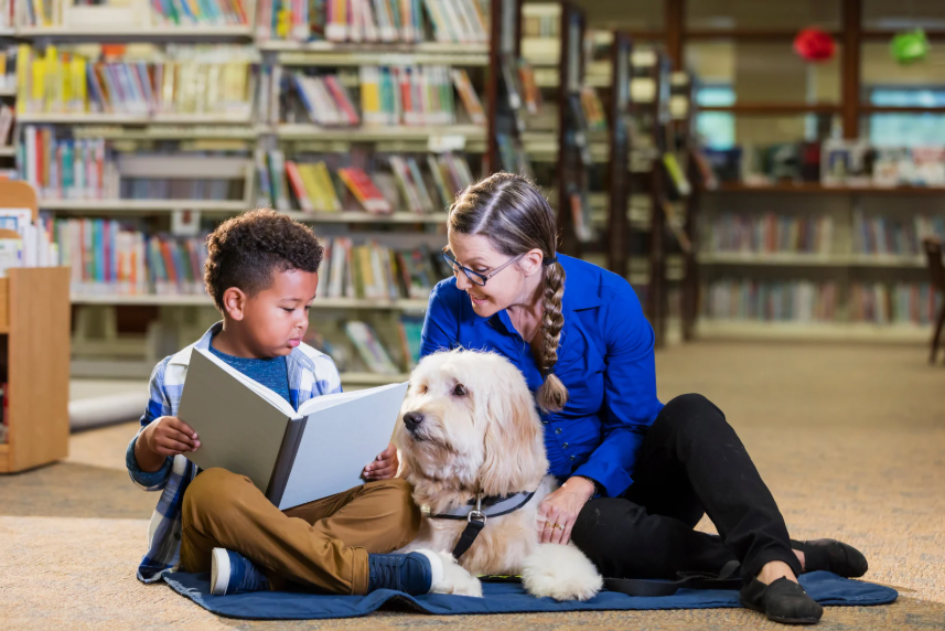 Milieux scolaires & bibliothèques