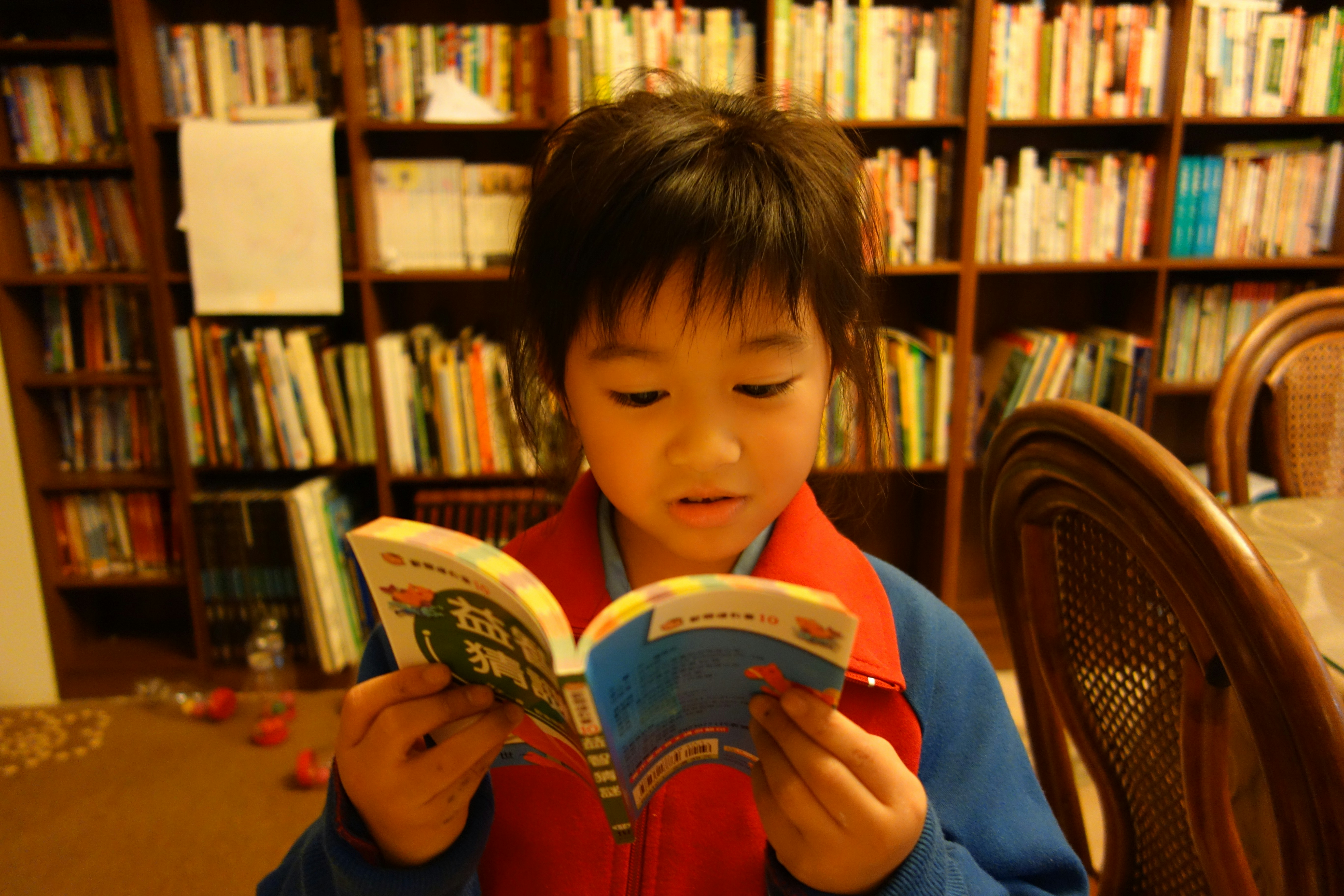 Activités avec animaux pour bibliothèques au Québec