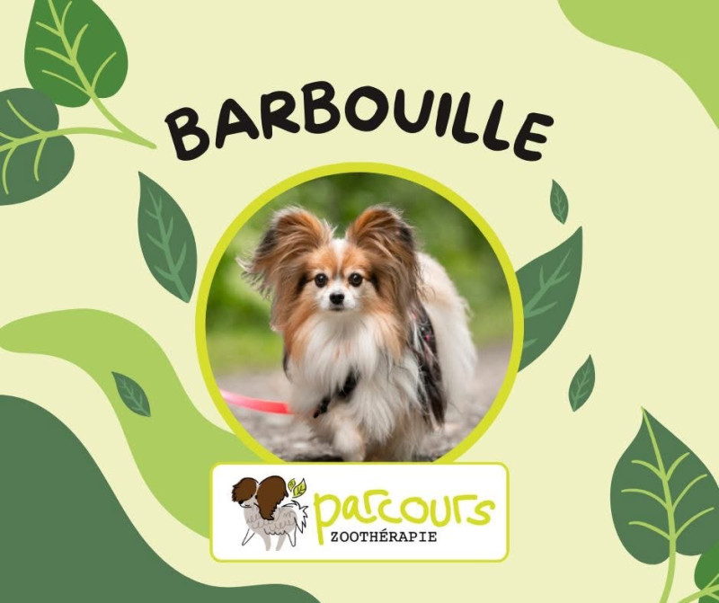 Barbouille
