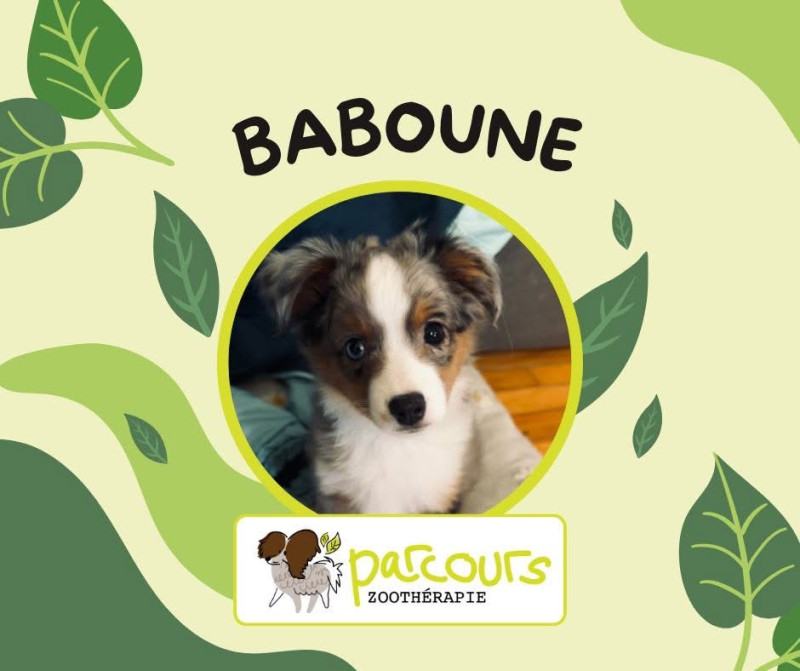 Baboune