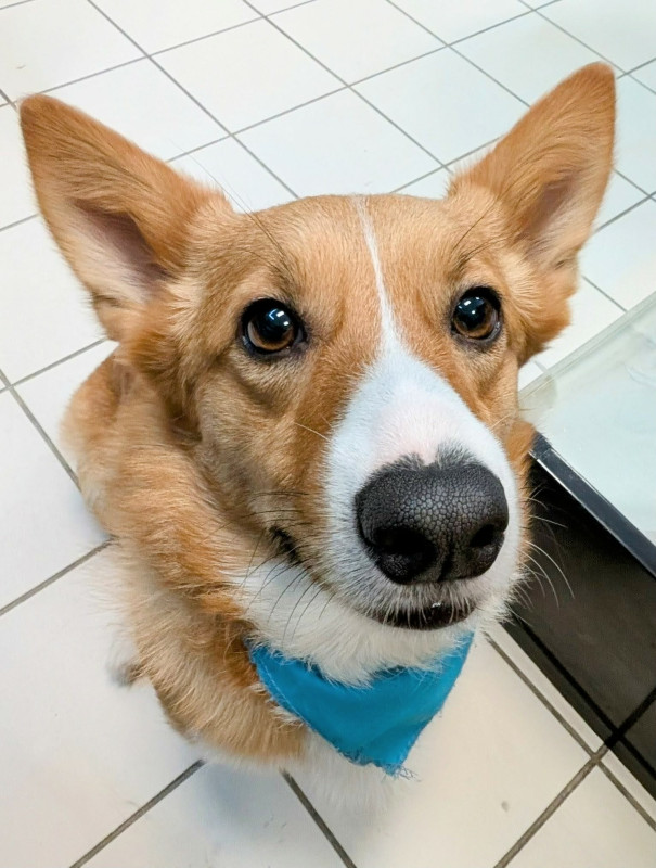 Photo de Stéphanie Alain