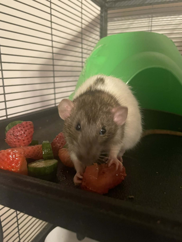 Photo de Marie-Maude Auger St-onge