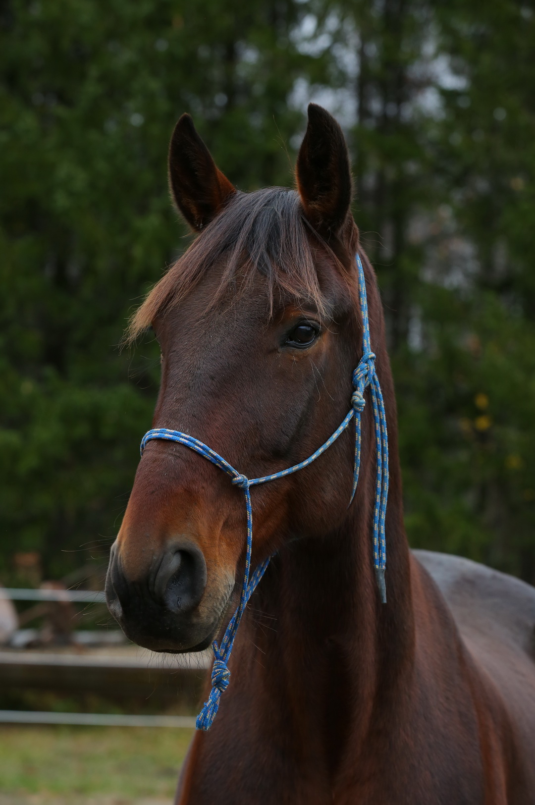 Photo de DeVerchères