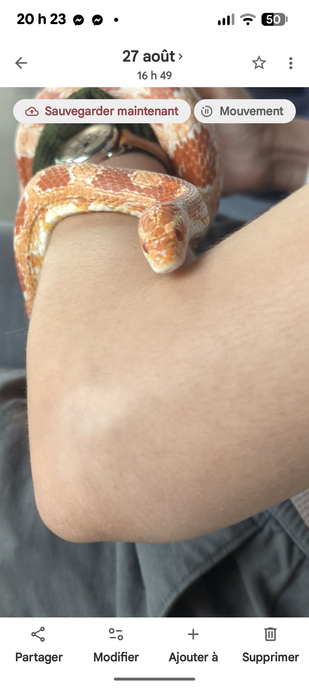 Photo de Paprika