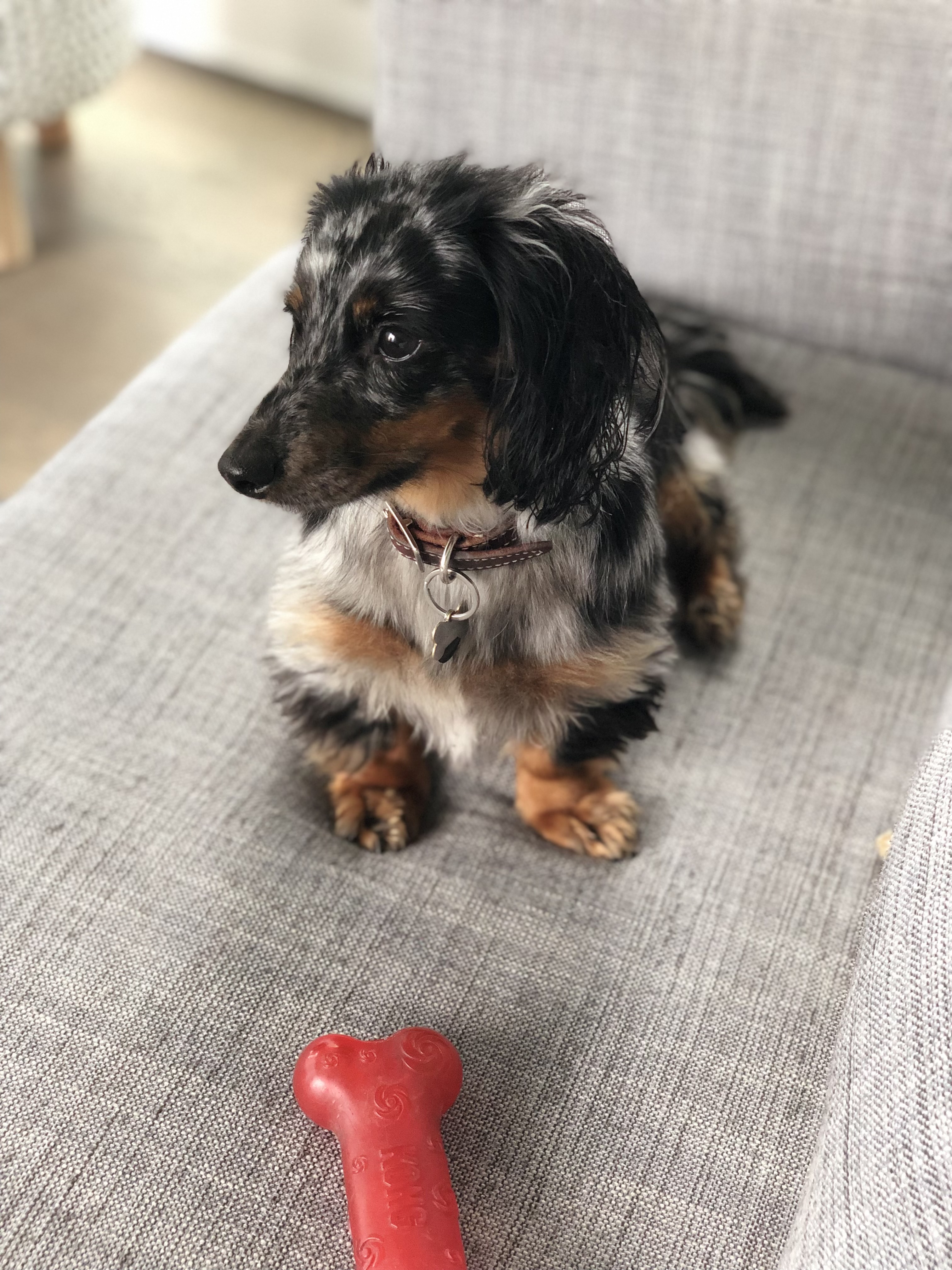 Photo de Marvin, partenaire de Johannie St-Yves