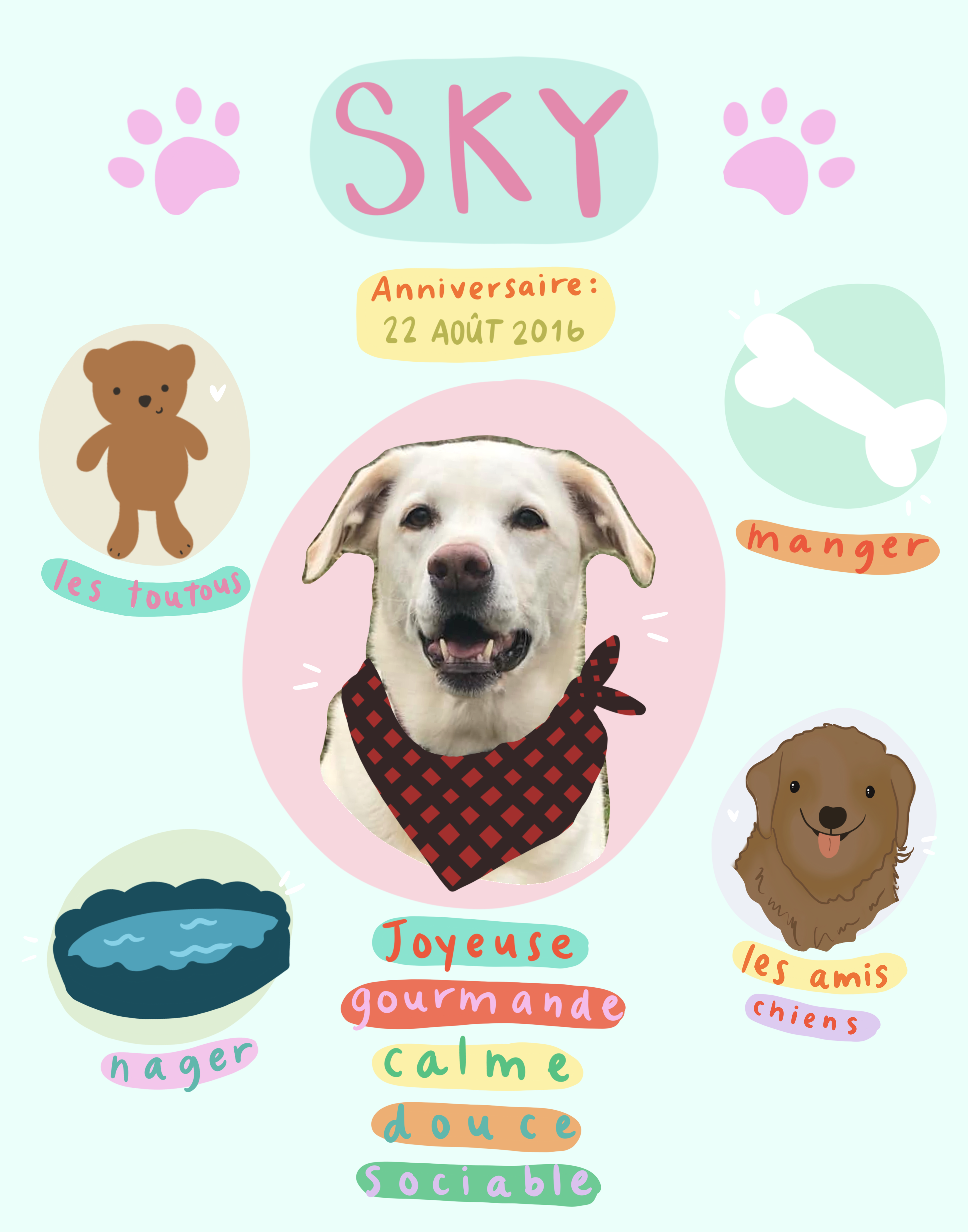 Photo de Sky