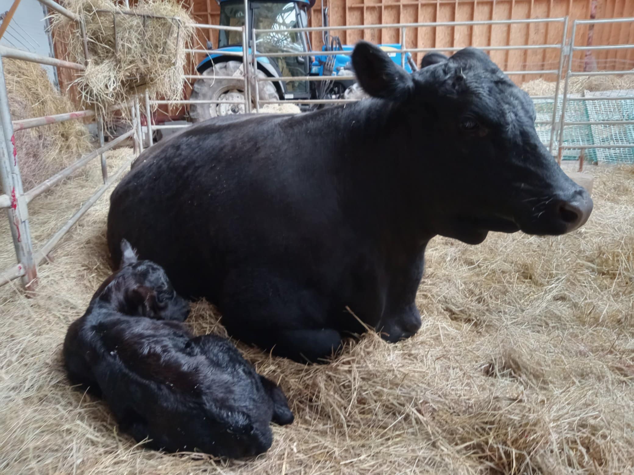 Photo de Béa et Émilio