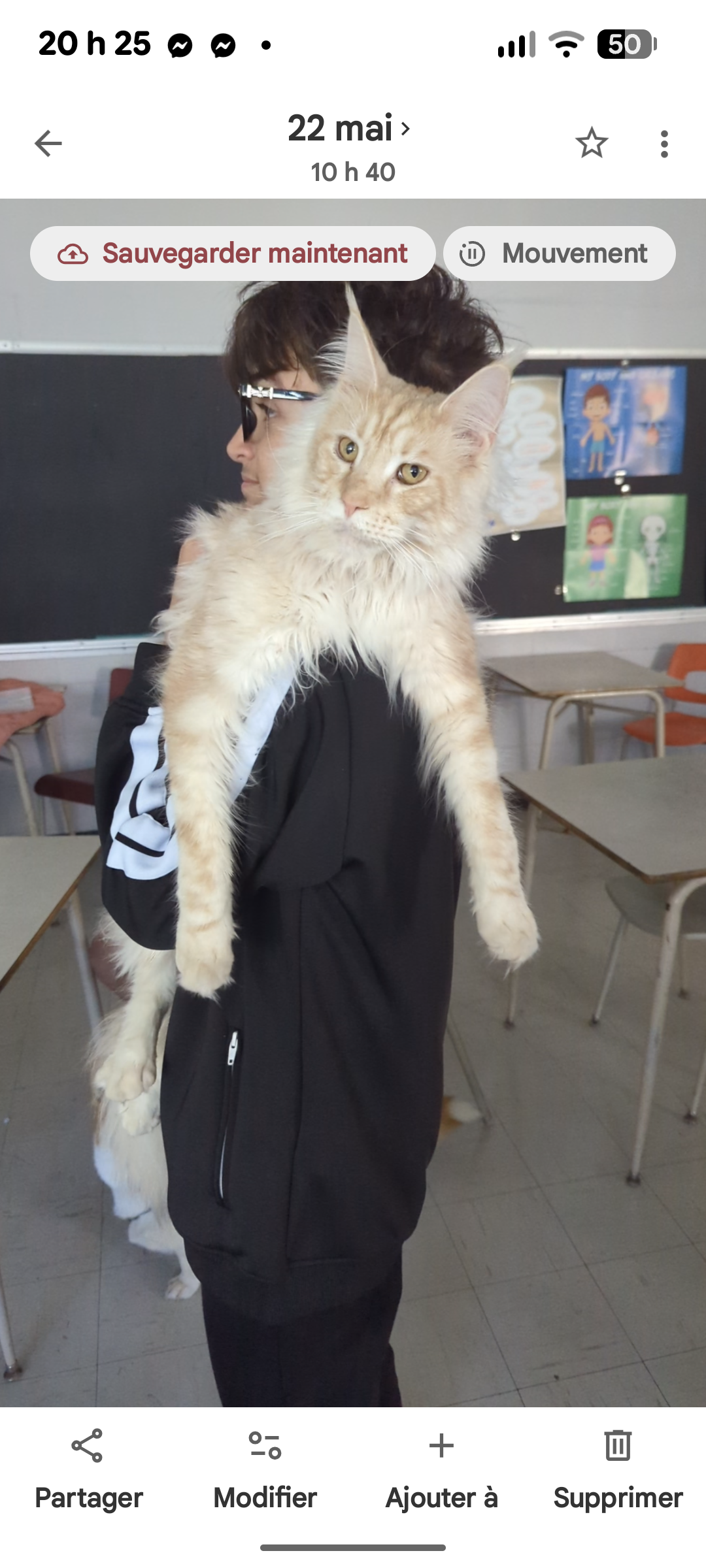 Photo de Pumpkin