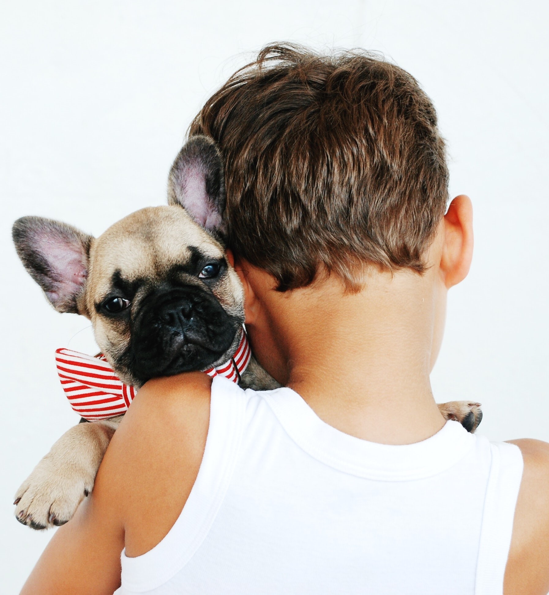 Rencontres animales en établissement de santé