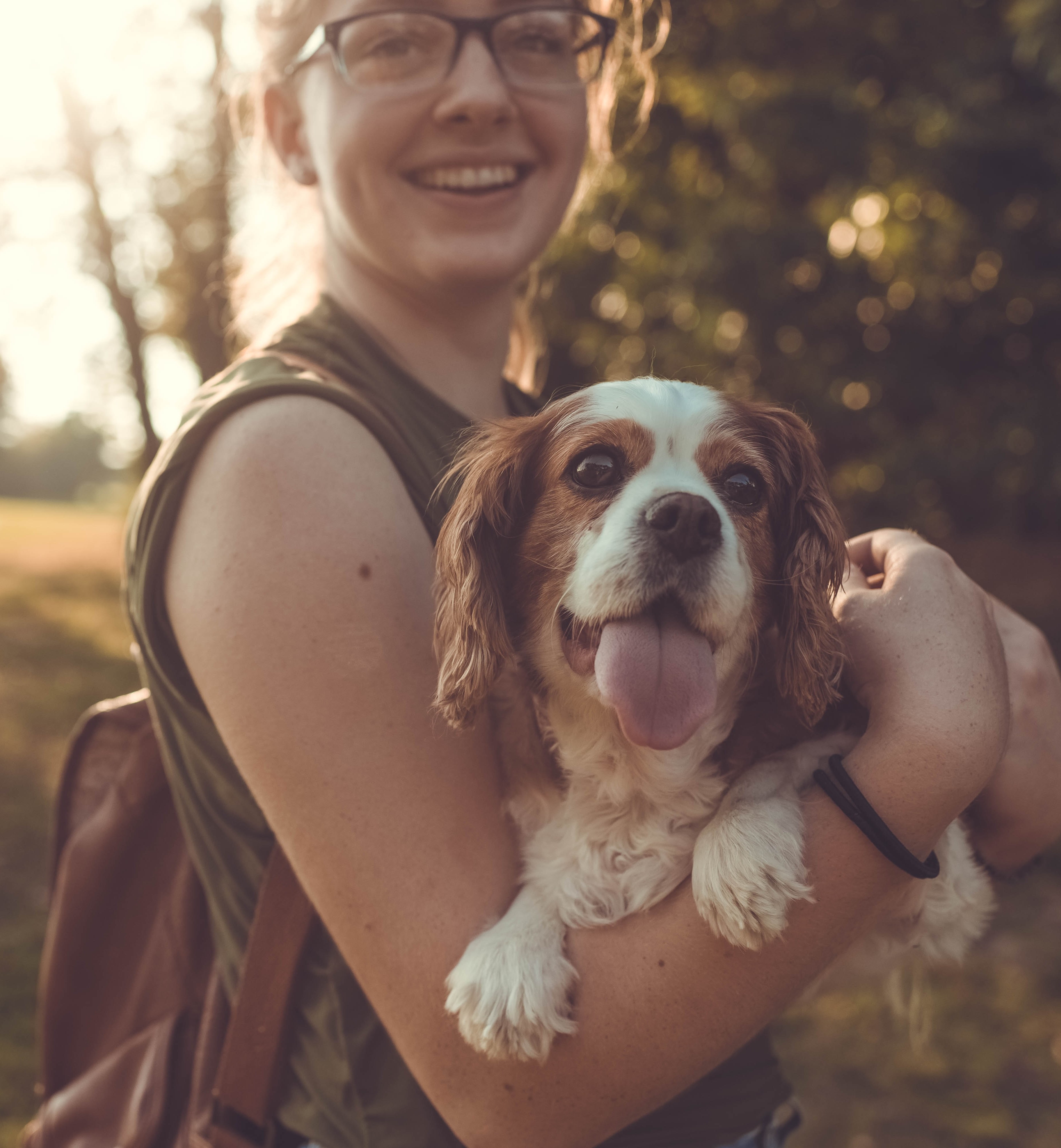 Présence animale en réadaptation