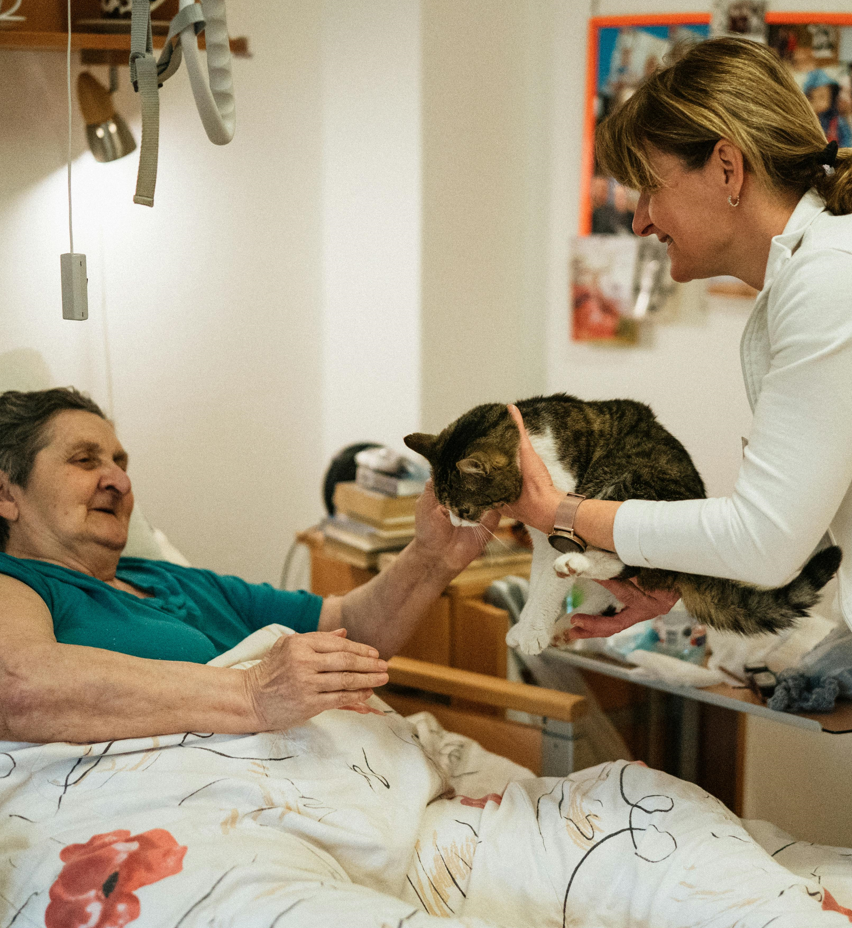 Moments animaliers pour apaiser la douleur