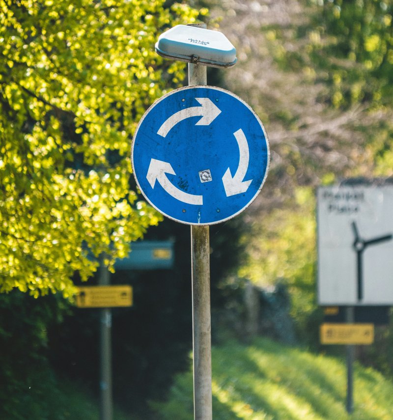 Suivre les consignes… avec une patte